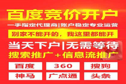 某行业巨头如何利用百度推广服务费提升业绩